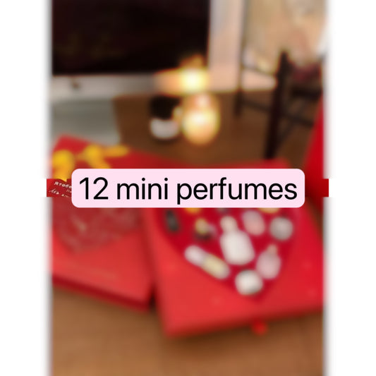 12 mini perfume set